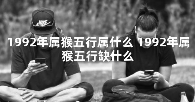 1992年属猴五行属什么 1992年属猴五行缺什么